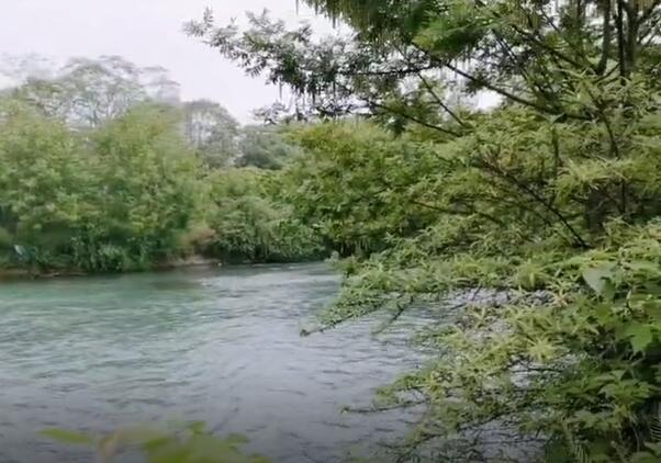 與春同行-愜意鷺湖宮