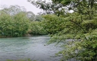 與春同行-愜意鷺湖宮